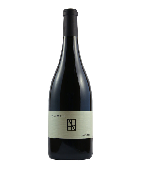 VT ENSAMBLE COLINA BA 750ML