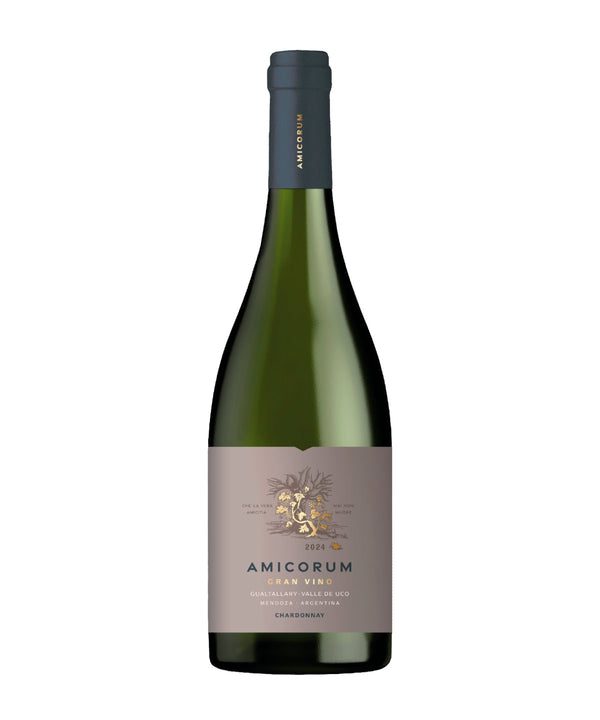 VB AMICORUM GRAN VINO CHARDONNAY 750ML